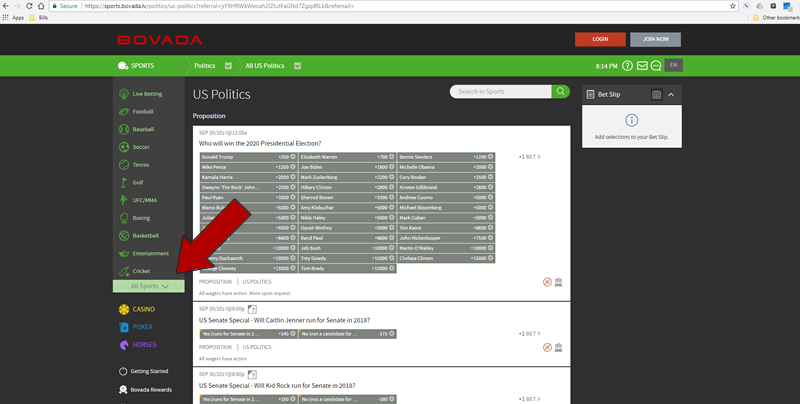 Bovada.lv Politics Review
